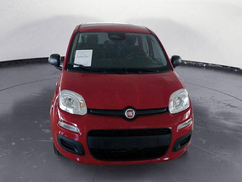 FIAT Panda NEW My25 1.0 70cv Hybrid Panda
