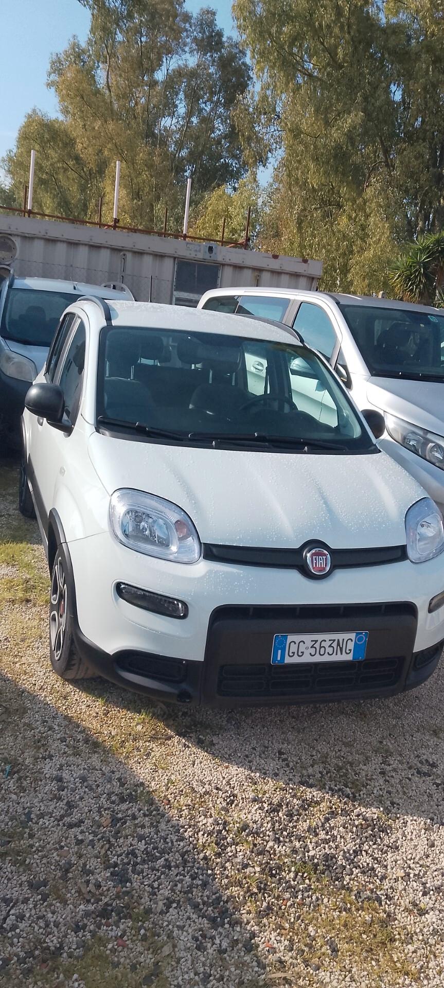 Fiat Panda 1.0 FireFly S&S Hybrid Sport