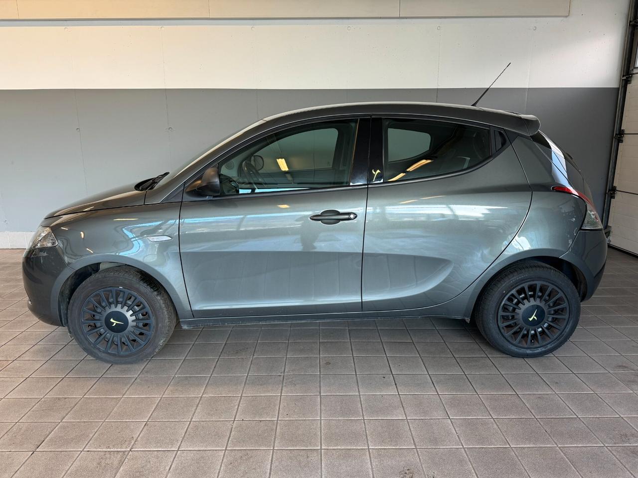 Lancia Ypsilon 1.2 69 CV 5 porte Elefantino Neopatentati