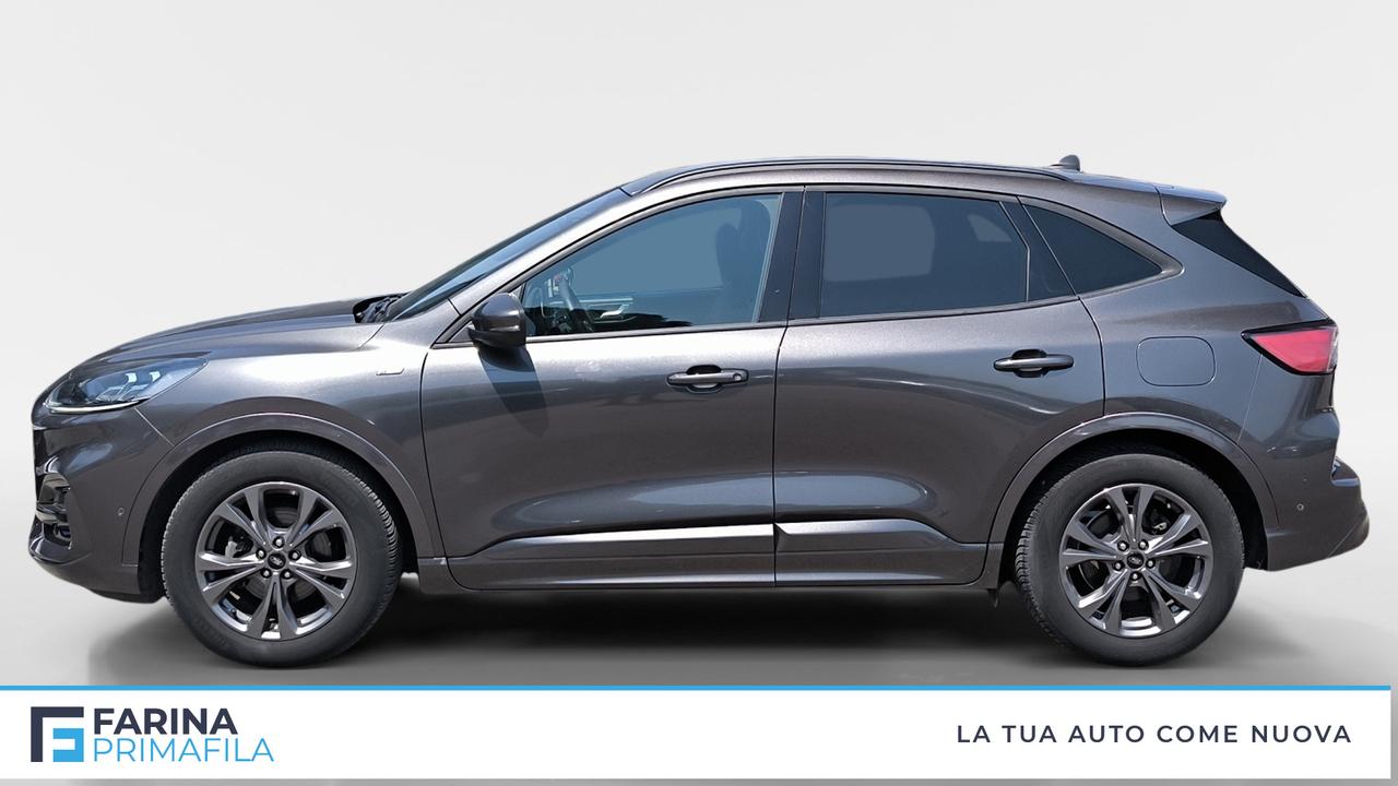FORD Kuga III 2020 - Kuga 1.5 ecoblue ST-Line X 2wd 120cv auto
