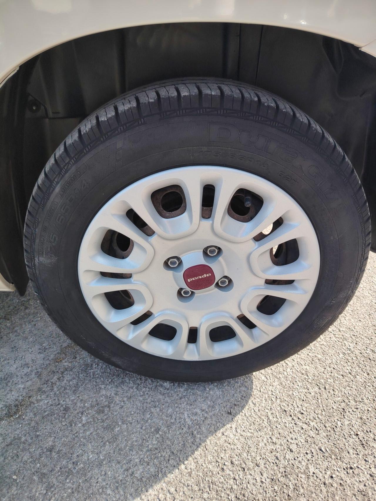 Fiat Panda 1.2 Pandazzurri - NEOPATENTATI