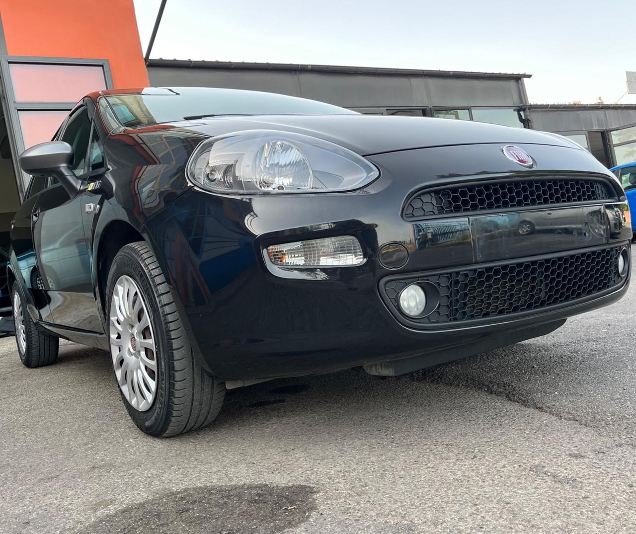 Fiat Punto 1.2 8V 5 Porte Young-soloKm 35000-