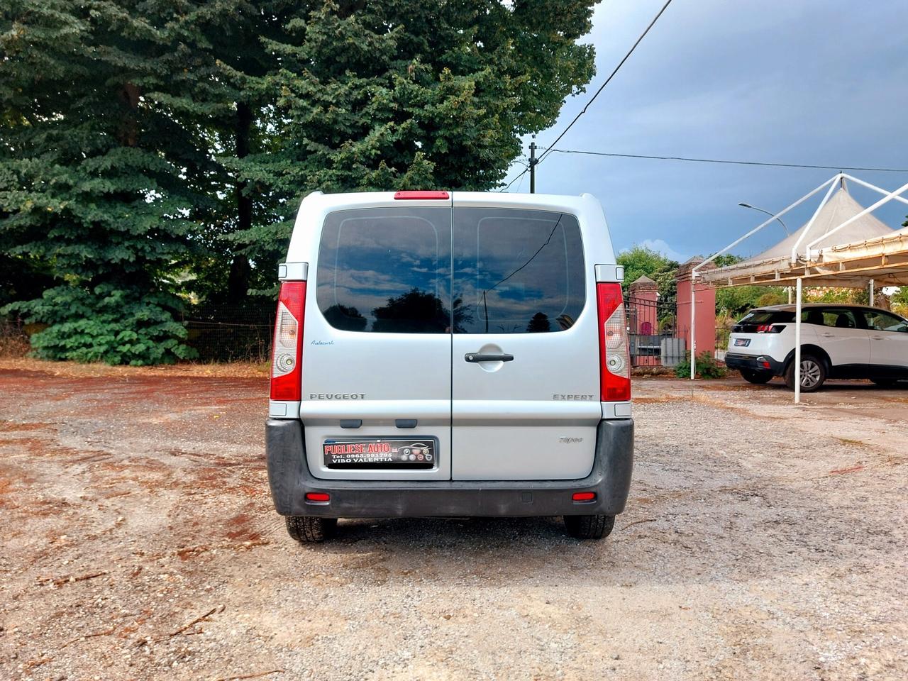 Peugeot Expert 2.0 HDi 120CV 9 posti - 2009