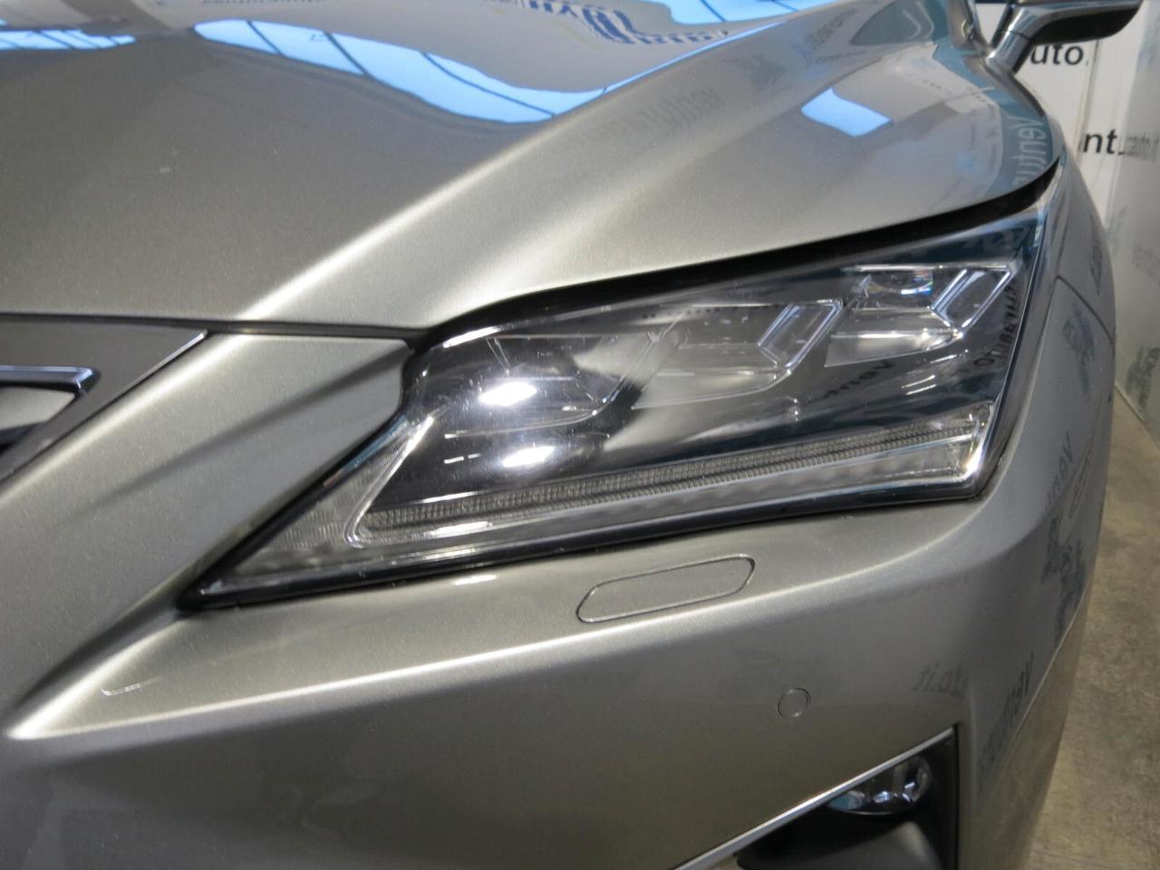 Lexus RX 450h Hybrid Luxury