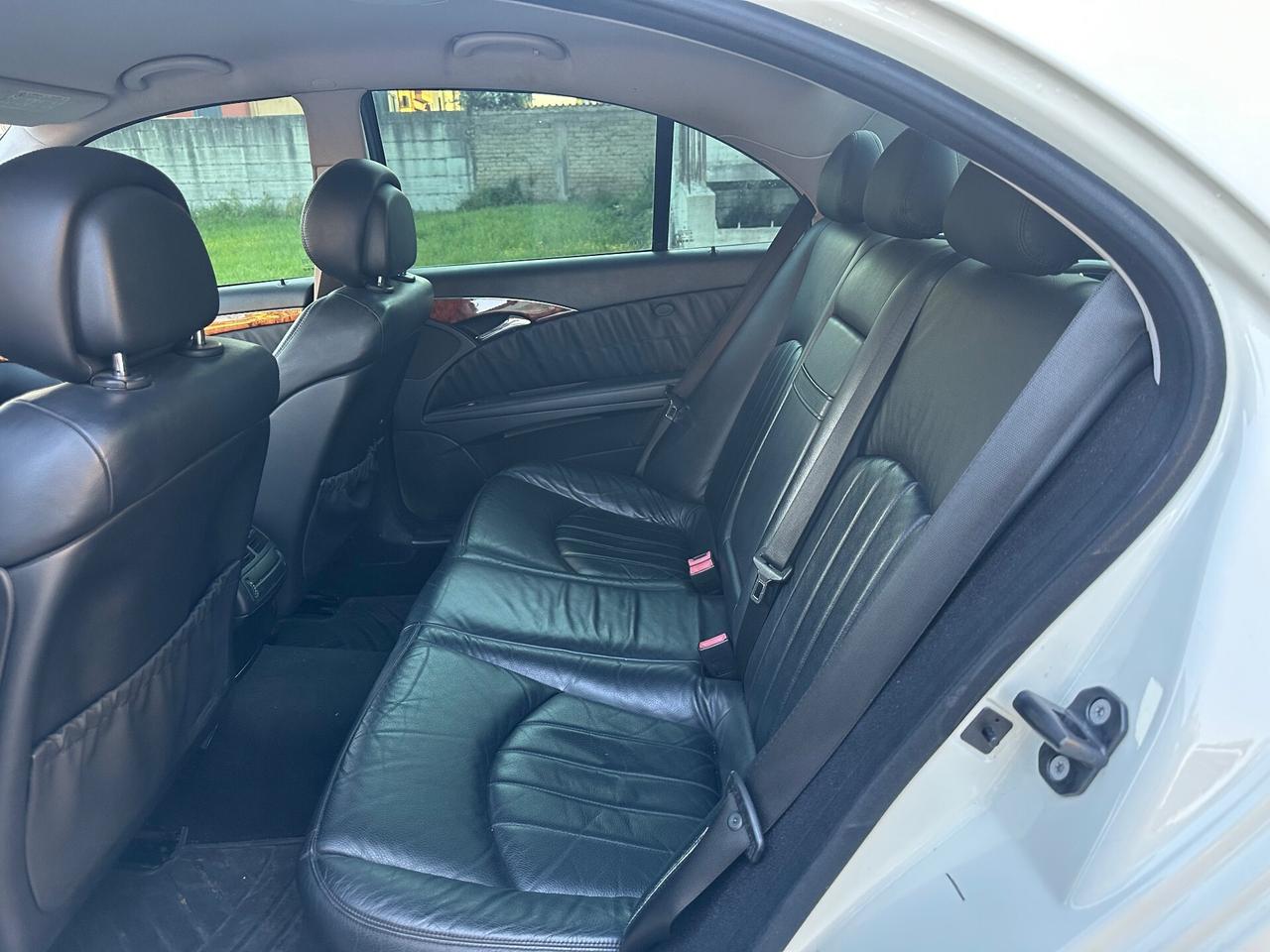 Mercedes-benz E 220 CDI cat EVO Elegance