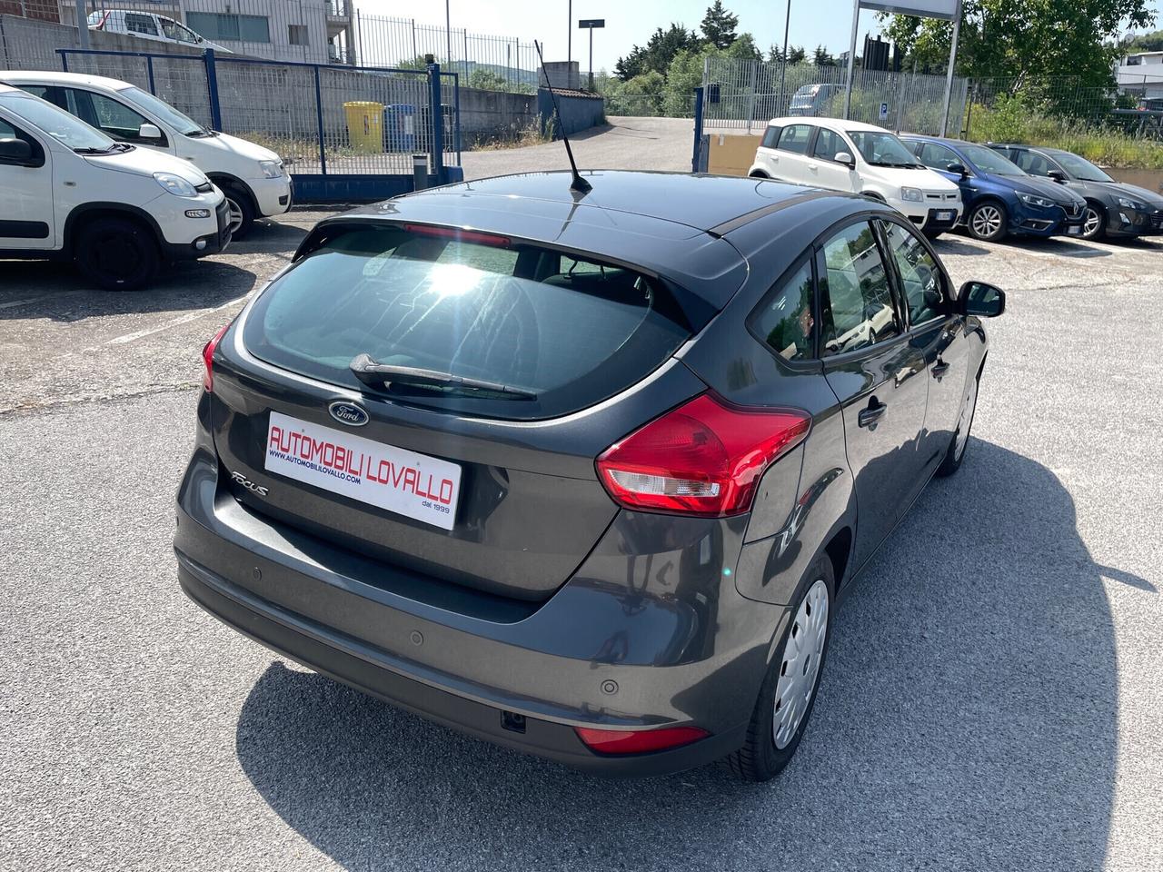 Ford Focus 1.5 EcoBlue 120 CV 2MODELLI DIPONIBILI