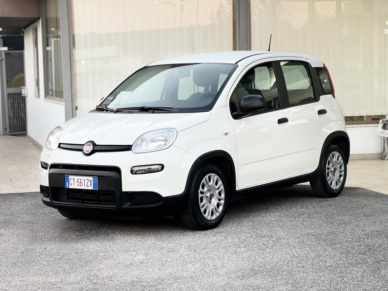 Fiat Panda 1.0 Hybrid 70CV E6 Neo - 2024