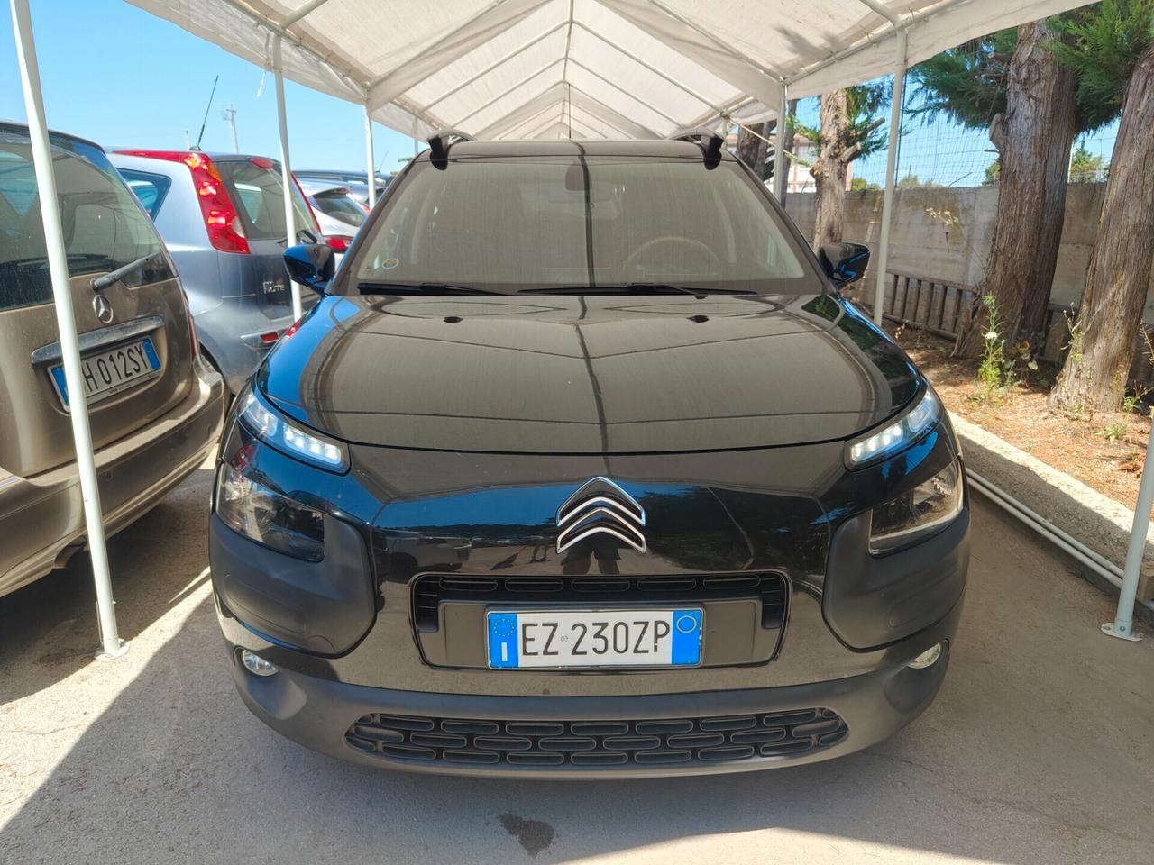 Citroen C4 Cactus 1.6 BlueHDi 100cv S&S Shine