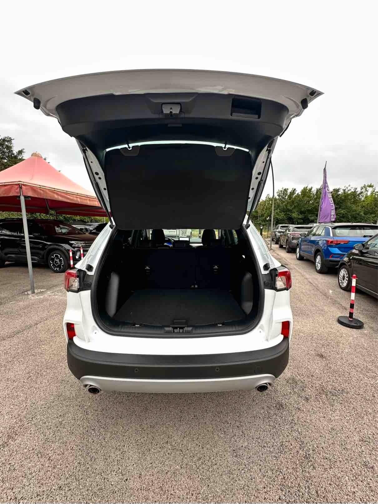 Ford Kuga 1.5 EcoBlue 120 CV aut. 2WD Titanium Business