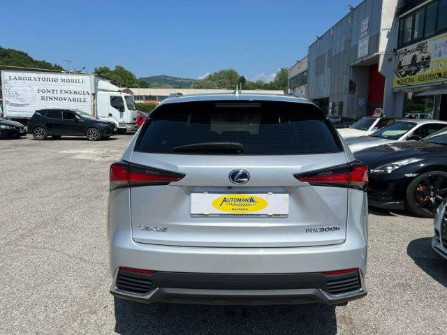 LEXUS NX 300 Hybrid Business