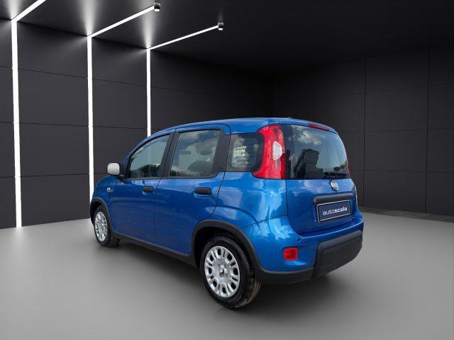FIAT Panda 1.0 FireFly S&S Hybrid Pandina