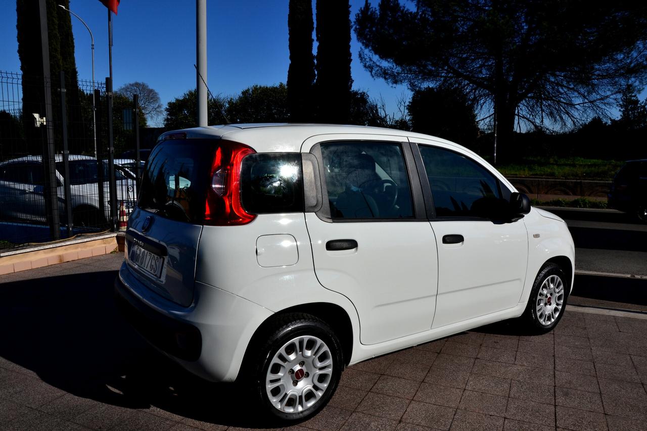 Fiat Panda 1.2 EASY 69CV **OK NEOPATENTATI**PREZZO VERO**