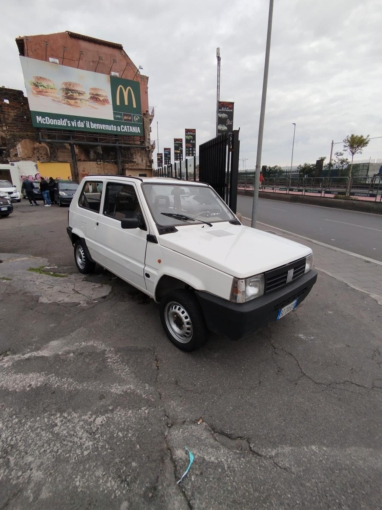 Fiat Panda 1100 i.e. cat Young