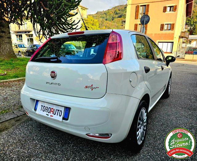 FIAT Punto 1.2 8V 5 porte Street NEOPATENTATI