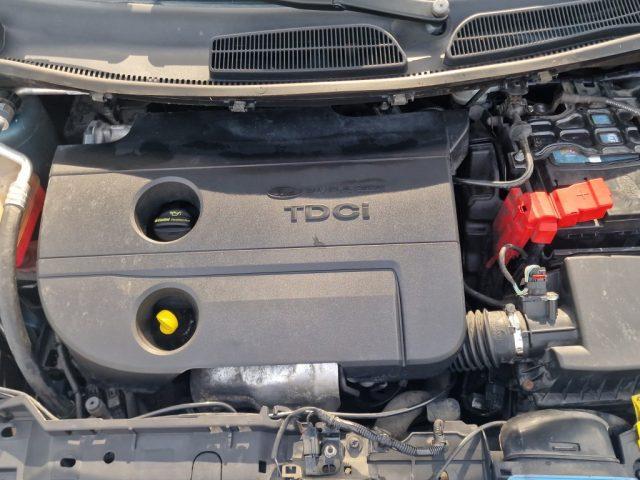FORD Fiesta 1.4 TDCi 5p. Titanium