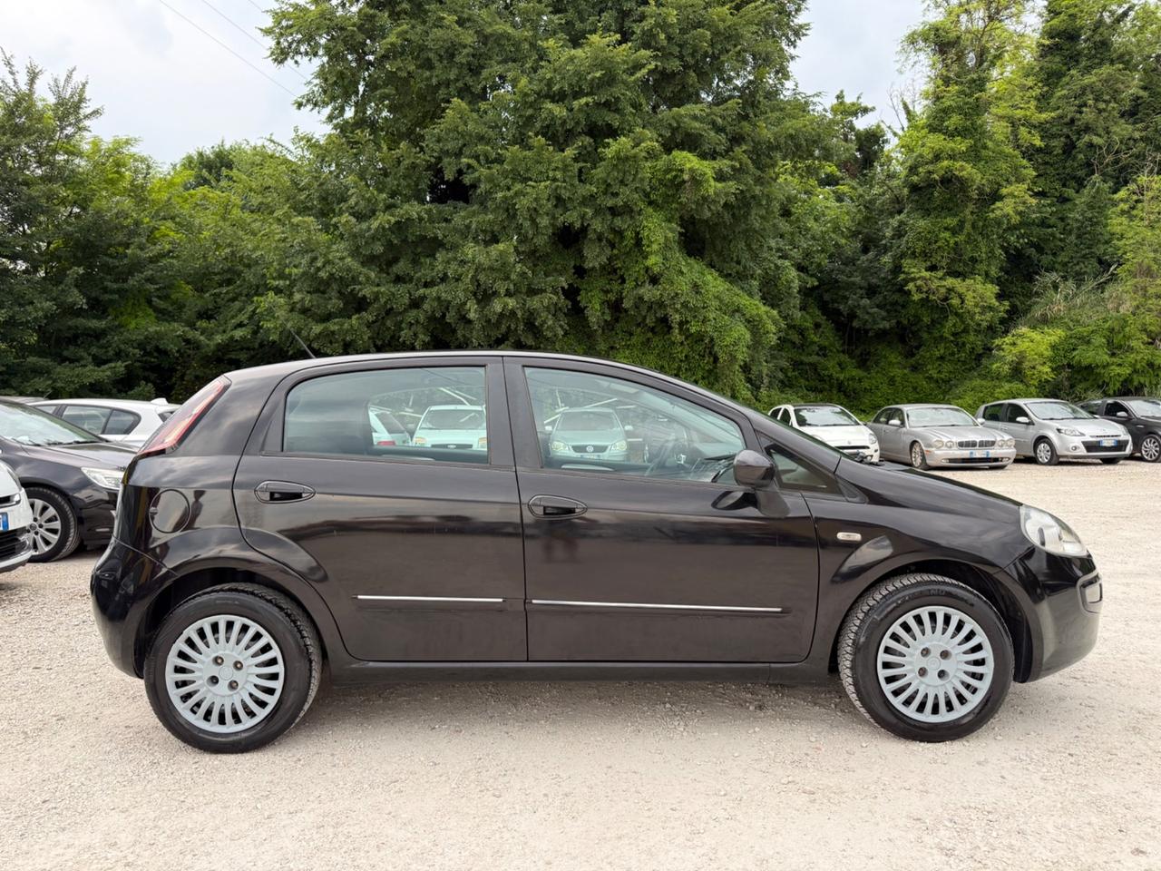 Fiat Punto Evo 1.2 5 porte Active Neopatentati