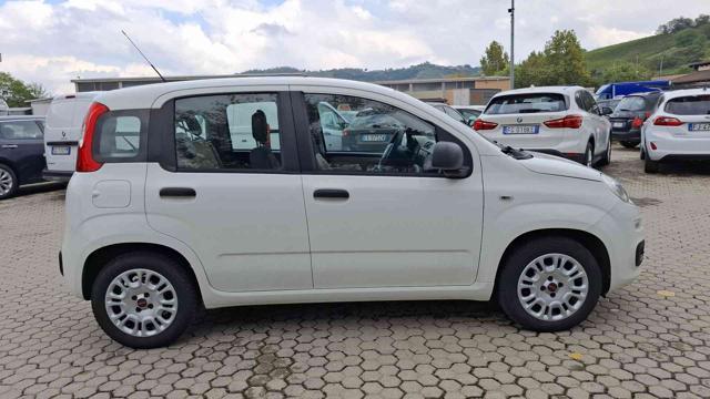 FIAT Panda 1.2 BENZINA ANNO 2015