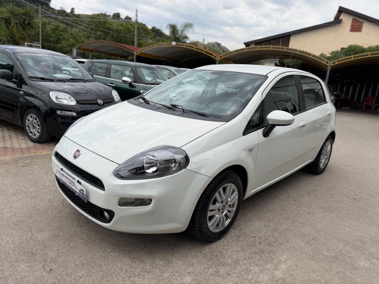 Fiat Punto 1.2 8V 5 porte Lounge Km Certificati