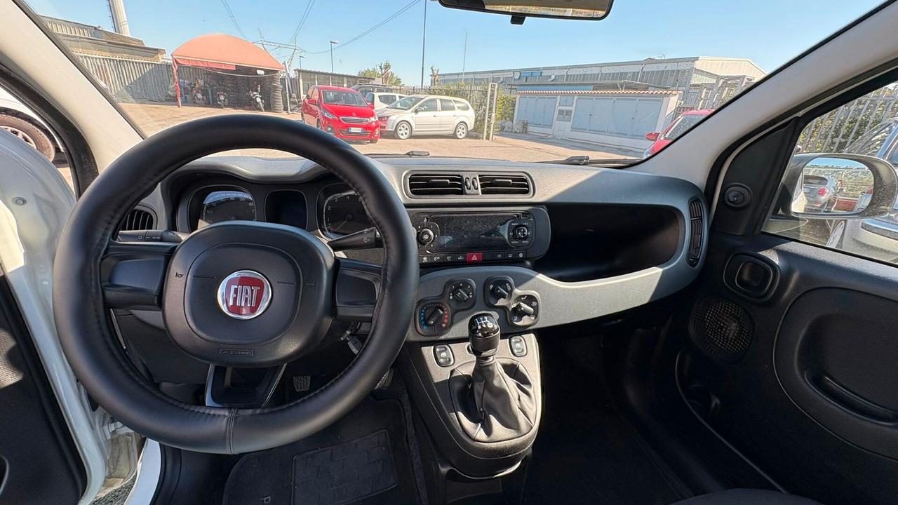 Fiat Panda 1.2 312PXA1A | BENZINA| 169A4000 CC 1242 CV 69 KW 51 BERLINA, 5 P.