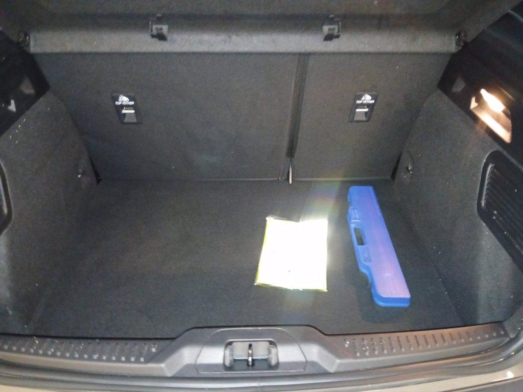 FORD Focus ecoblue ST-Line Automatica 5 porte del 2022