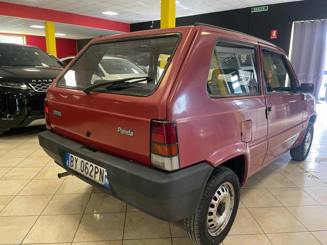 FIAT Panda 1ª serie 1100 i.e. cat College