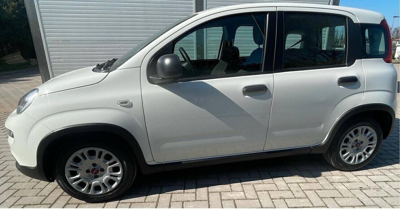 Fiat Panda 1.0 FireFly S&S Hybrid