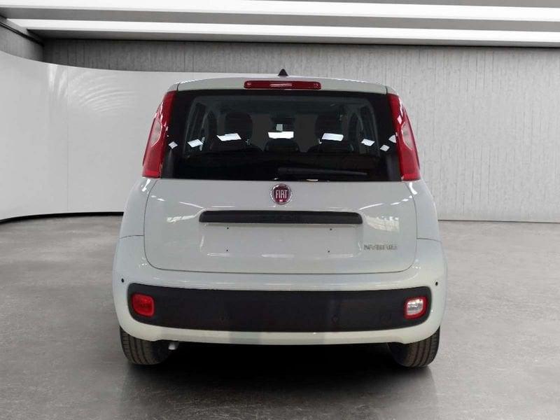 FIAT Pandina 1.0 firefly hybrid Icon s&s 70cv 5p.ti