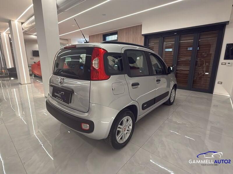 FIAT Panda 1.2 69cv E6 Easy