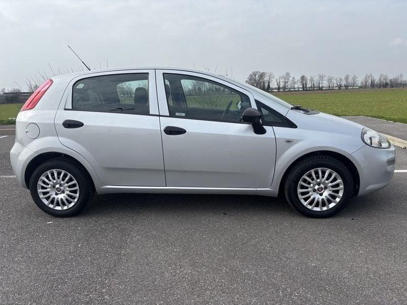 FIAT Punto NEOP. CINGHIA NUOVA 1.2 Benzina 69cv