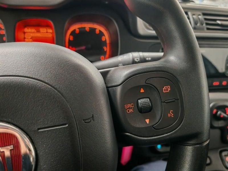 FIAT Panda Hybrid 1.0 70cv S&S Hybrid City Cross | IVA ESPOSTA