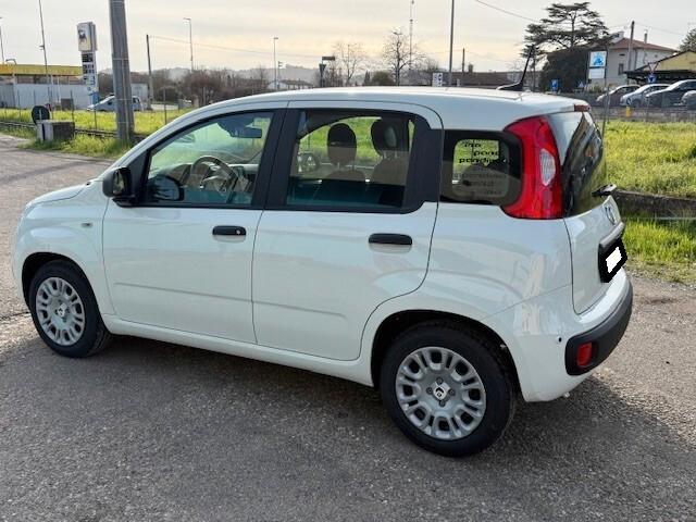 Fiat Panda aziendale iva esposta