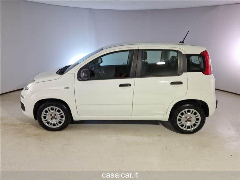 FIAT Panda 1.2 Easy 3 ANNI DI GARANZIA KM ILLIMITATI PARI ALLA NUOVA