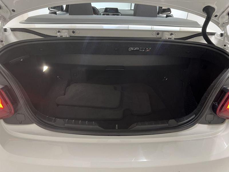 BMW Serie 2 Cabrio 220i Cabrio Advantage Steptronic