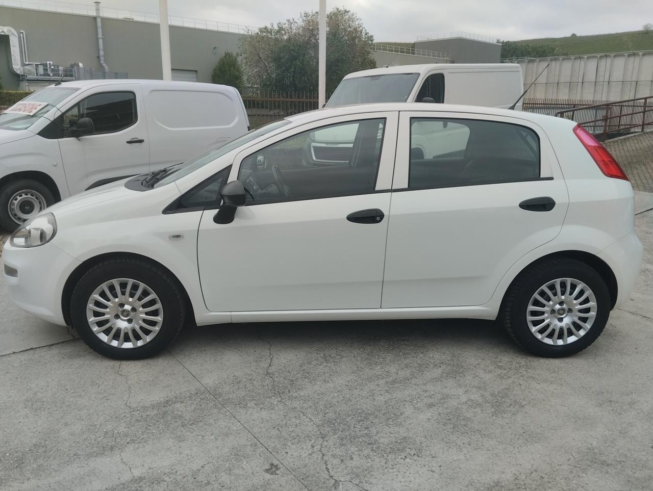 Fiat Punto 1.3 MJT II S&S 95 CV 5 porte Street