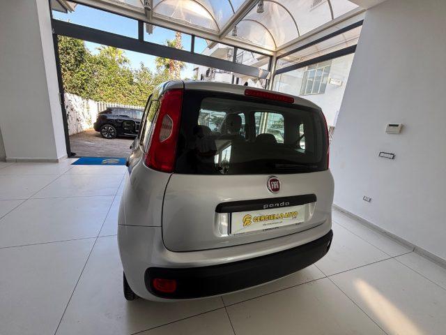 FIAT Panda 1.2 EasyPower GPL tua da ?99,00 MENSILI