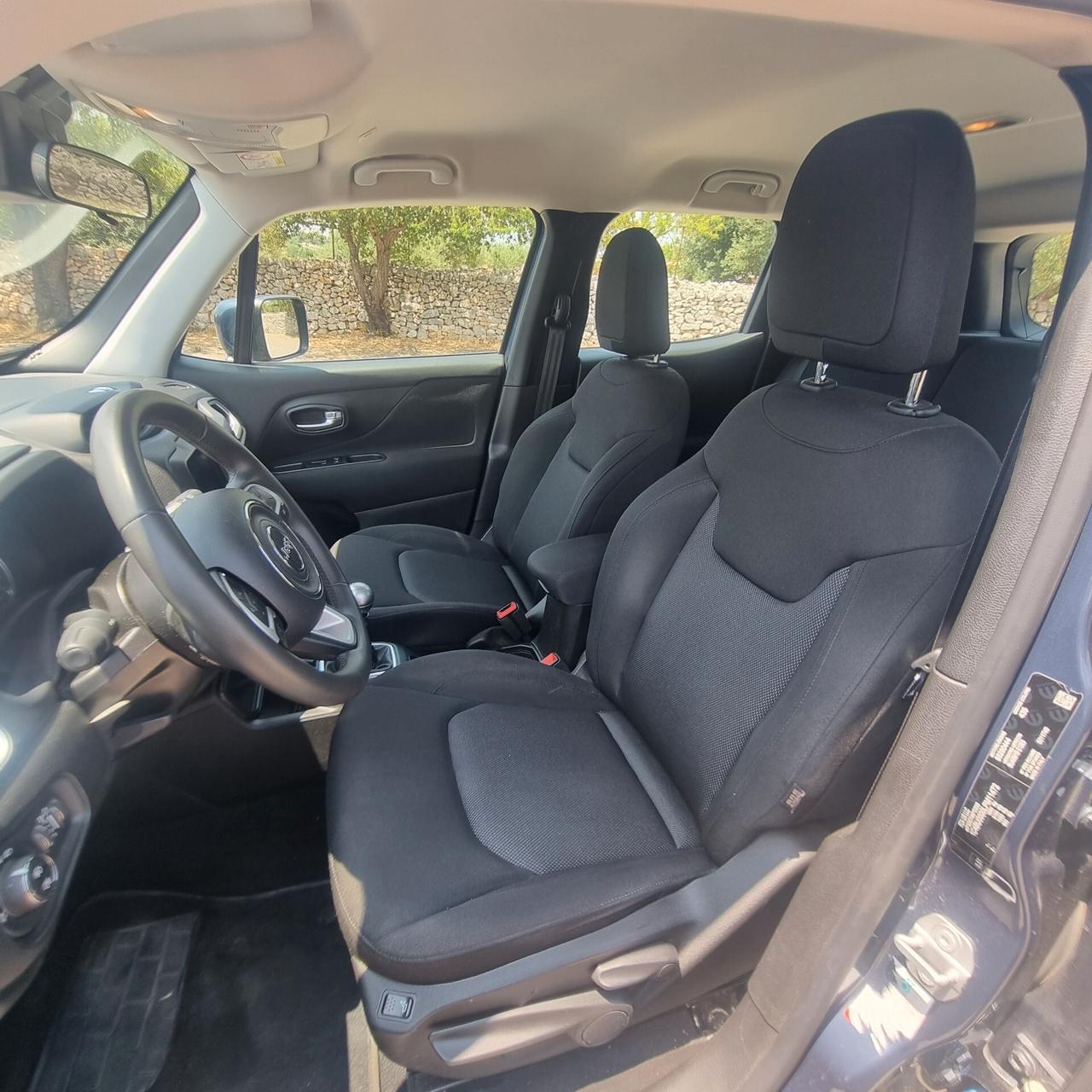 Jeep Renegade 1.6 Mjt 120 CV Business