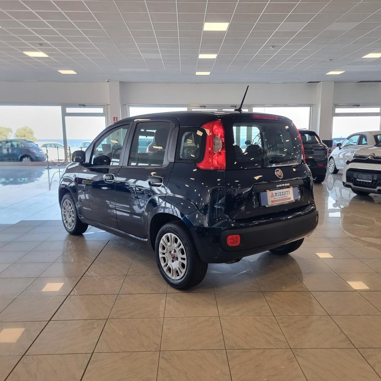 FIAT PANDA EASY 1.2 bz 69cv Euro 6D