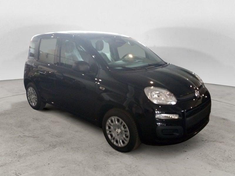 FIAT Panda NEW My25 1.0 70cv Hybrid Panda
