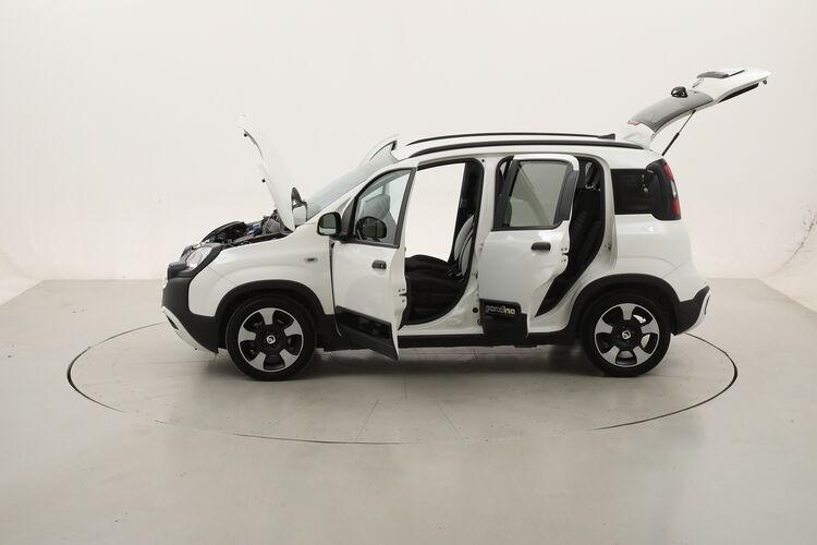 Fiat Panda Hybrid Pandina Cross BR498481 1.0 Mild Hybrid 70CV