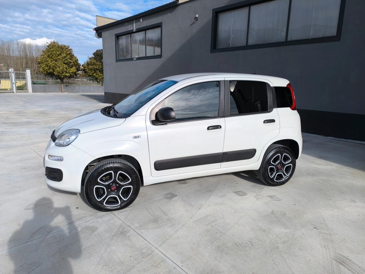 Fiat Panda 0.9 TwinAir Turbo S&S 4x4 Pop Van 2 posti