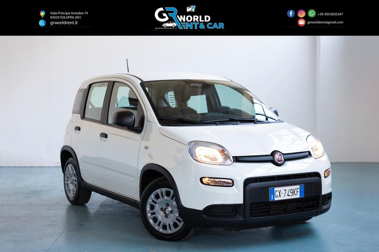 Fiat Panda 1.0 FireFly S&S Hybrid Pandina IVA ESPOSTA