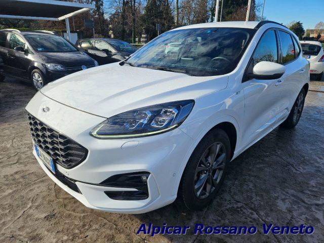 FORD Kuga 1.5 EcoBlue 120 CV aut. 2WD ST-Line X