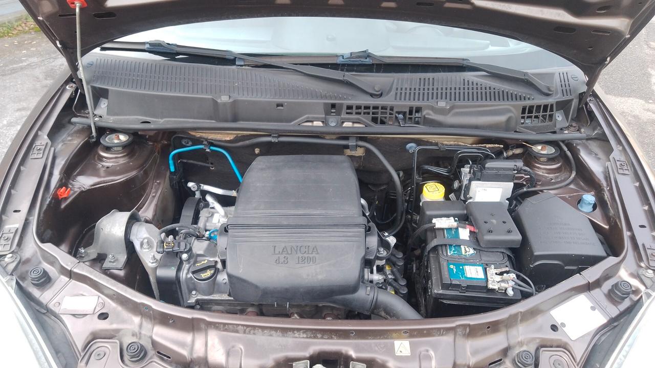 Lancia Ypsilon 1.2 BZ neopatentati 2011