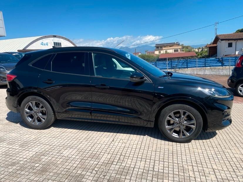 Ford Kuga 1.5 EcoBlue 120 CV aut. 2WD ST-Line X