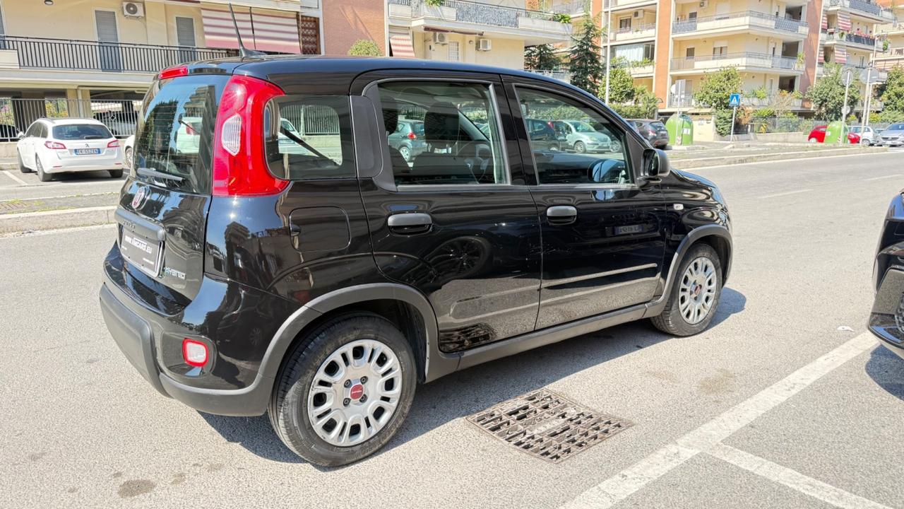 Fiat Panda 1.0 FireFly S&S Hybrid City Life LED PDC SCHERMO