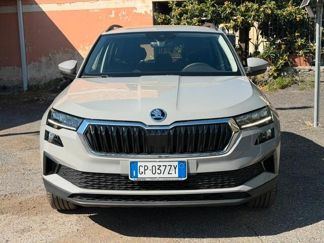 Skoda Karoq 2.0 TDI EVO SCR 115 CV DSG Executive