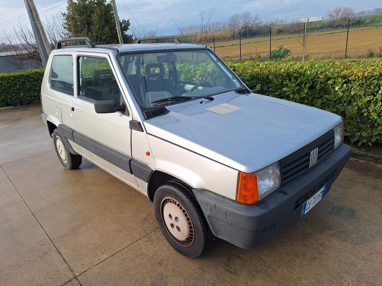 Fiat Panda 1100 i.e. cat Young