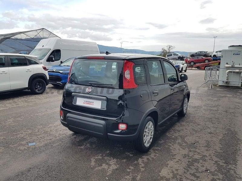 FIAT Panda Panda 1.0 70cv Hybrid Panda