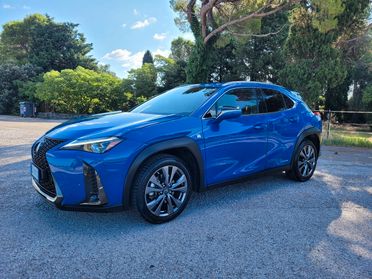 Lexus UX Hybrid F Sport 250h 2.0