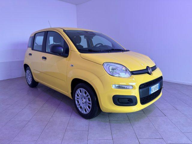 FIAT Pandina 1.0 FireFly 65 CV Hybrid Icon